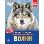 Волки. Энциклопедия А4. 197х255 мм, 48 стр.мелов. бумага, тв. переплет, фольга. Умка в кор . 15 шт