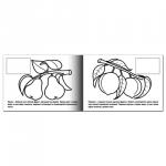 Книжка-раскраска А5 4л. HATBER с наклейками, Мои первые уроки, Фрукты, 4Р5н_05828(R133156)