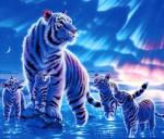 Белая тигрица и ее малыши