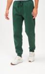 Брюки спорт F121-0821-1 pine