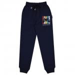 Брюки для мальчика Bonito Kids