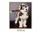 Алмазная мозаика арт. HWA2034 Игривый щенок 40х50 полная выкладка на подрамнике.