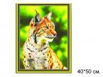 Алмазная мозаика арт. HWA2808 Рысь 40х50 полная выкладка на подрамнике.