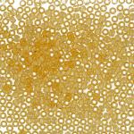 Бисер Япония "TOHO" 11/0   круглый 1   2.2 мм  5 х  5 г