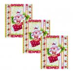 Набор вафельных полотенец 3 шт 20234/1 Сапожок