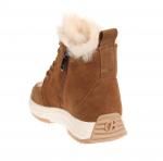 Дерби Baden CV244-011