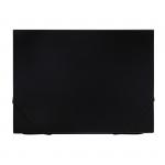 Папка 13 отделений OfficeSpace, А4, 500 мкм, на резинке, черная, ПНР13Ч_1004