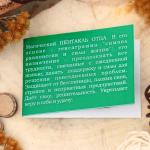 Амулет "Пентакль Отца" (даёт поддержку и силы для решения повседневных проблем) , длина 68см