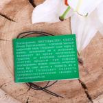 Амулет "Магический щит" отражающий чары, порчу и сглаз , длина 45см