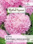 Астра Леди Корал, светло-розовая