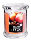 Свеча ароматическая в стакане ЯБЛОКО С КОРИЦЕЙ 9х11см 60ч