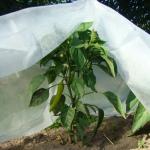 Укрывной материал Агротекс 30 10x3,2 м