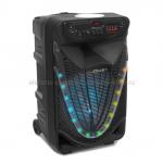 Беспроводная акустическая система OM&S TK2-15 (15)