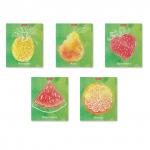 Тетрадь общая ученическая с пластиковой обложкой на скобе Fresh, Mixed Reality, ассорти, А5+, 48 листов, клетка