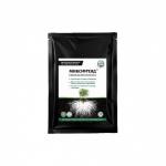 МИКОФРЕНД, ПРЕМИУМ МИКОРИЗА, 30 г