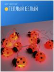 КОСМОС св-к на солн.батарее "Божья коровка" 20LED, 4 м (2 м+2 м) (акк.Ni-Mg 600MAh) KOC_SOL110