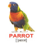 Английские карточки "Домашние животные"