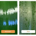 Липосам биоприлипатель II группа, 250 мл