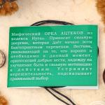 Амулет "Орел Ацтеков", 60 см (приносит добрые вести, указывает правильный выбор)