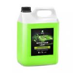 Профхим авто шапмунь для бесконтактной мойки, конц лето Grass/Active Foam Light, 5л.