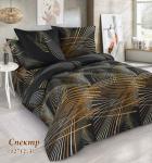 Комплект постельного белья поплин / Спектр