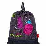 Мешок для обуви 222-194-10