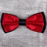 бабочка 4.002.062