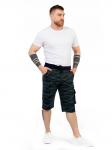 Шорты мужские арт 20965-2