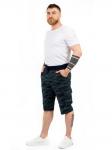 Шорты мужские арт 20964-2
