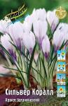КРОКУСЫ КРУПНОЦВЕТКОВЫЕ (Crocus vernus)
