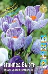 КРОКУСЫ КРУПНОЦВЕТКОВЫЕ (Crocus vernus)