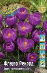 КРОКУСЫ КРУПНОЦВЕТКОВЫЕ (Crocus vernus)