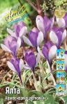 КРОКУСЫ КРУПНОЦВЕТКОВЫЕ (Crocus vernus)