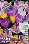 КРОКУСЫ КРУПНОЦВЕТКОВЫЕ (Crocus vernus)