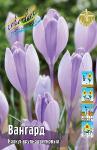 КРОКУСЫ КРУПНОЦВЕТКОВЫЕ (Crocus vernus)