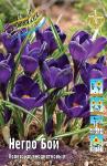 КРОКУСЫ КРУПНОЦВЕТКОВЫЕ (Crocus vernus)