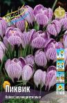 КРОКУСЫ КРУПНОЦВЕТКОВЫЕ (Crocus vernus)
