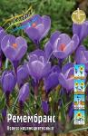КРОКУСЫ КРУПНОЦВЕТКОВЫЕ (Crocus vernus)