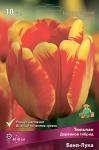 Тюльпан Дарвинов гибрид