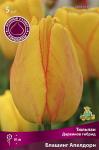 Тюльпан Дарвинов гибрид