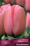 Тюльпан Дарвинов гибрид