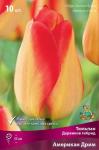 Тюльпан Дарвинов гибрид