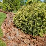 Кора сибирской лиственницы Отборная фракция, 10+ см