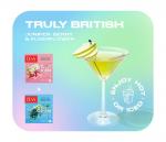 Чай TESS Cocktail BOX №3 Бузина 20 пак.