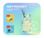 Чай TESS Cocktail BOX №4 Можжевельник 20 пак.