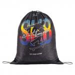 Мешок для обуви 1 отделение ArtSpace Skateboard, 340*420 мм, СДС_50173