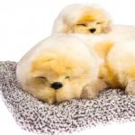 Игрушка на панель авто, собаки на подушке, бежевый окрас