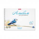 Альбом для рисования на спирали ErichKrause® Birds, А4, 40 листов, микроперфорация