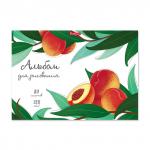 Альбом для рисования на клею ErichKrause® Juicy Fruits, А4, 30 листов