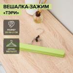 Вешалка деревянная для брюк и юбок «Тэри», 2 шт, 30*17*2,4 см, цвет зелёный